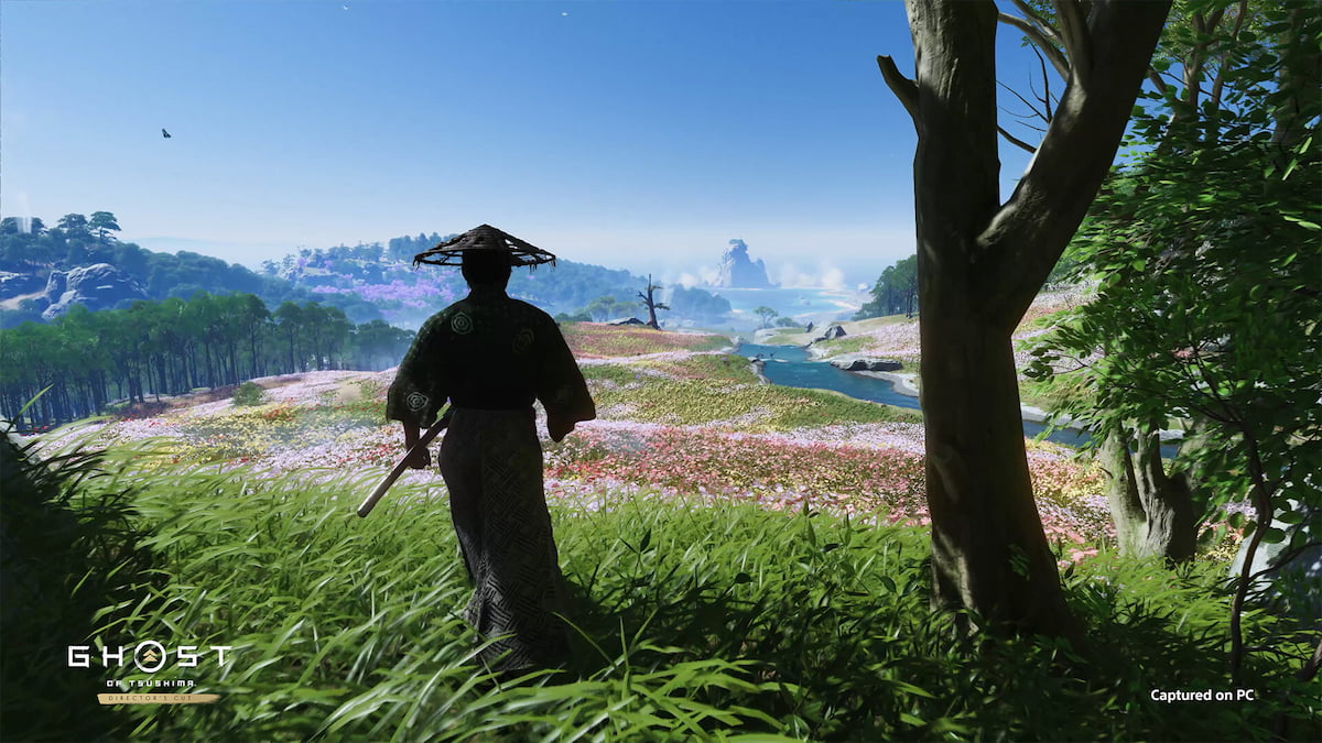 ghost of tsushima player enjoying a summer landscape valley with trees and mountains in the distance