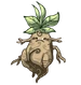 Mandrake plant with a face