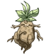 Mandrake plant with a face