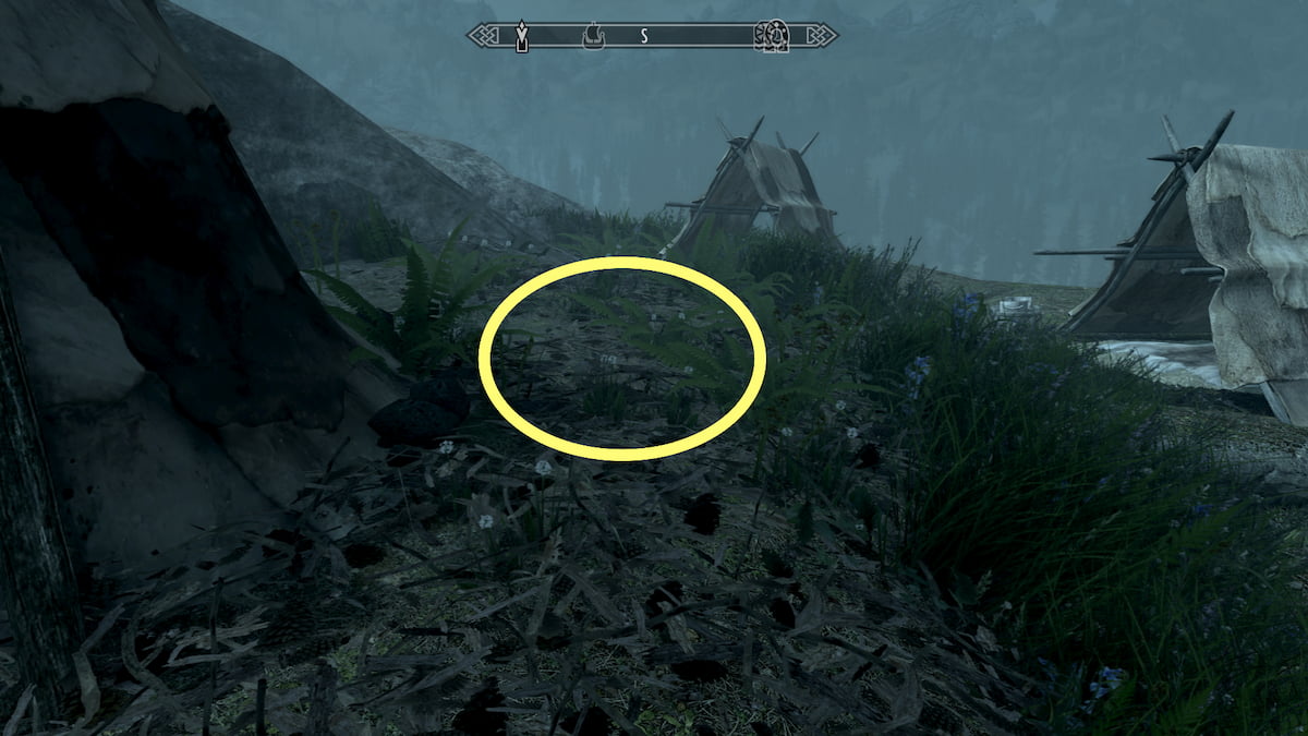 Skyrim Invisible Chests How to Find These Infinite Loot Locations