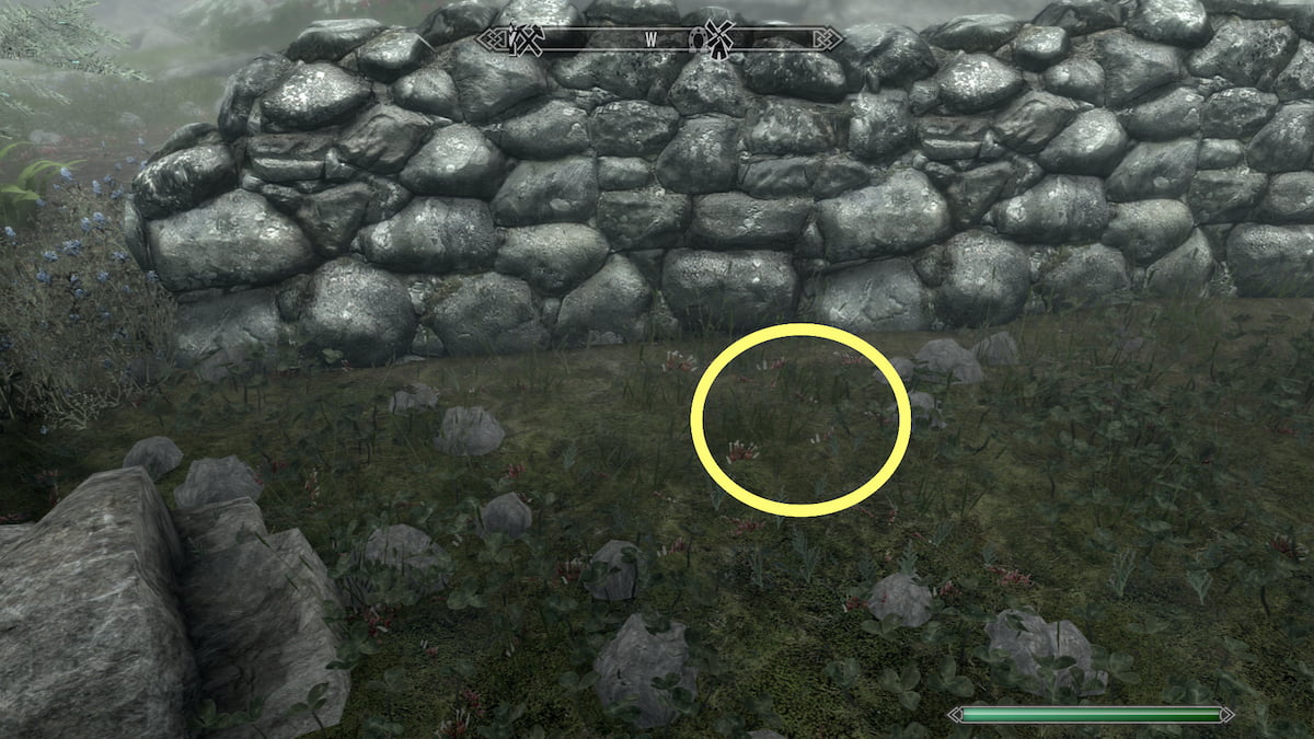 Skyrim Invisible Chests How to Find These Infinite Loot Locations