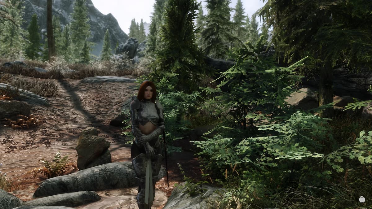 Woman aedra standing in wilderness, wearing armor 