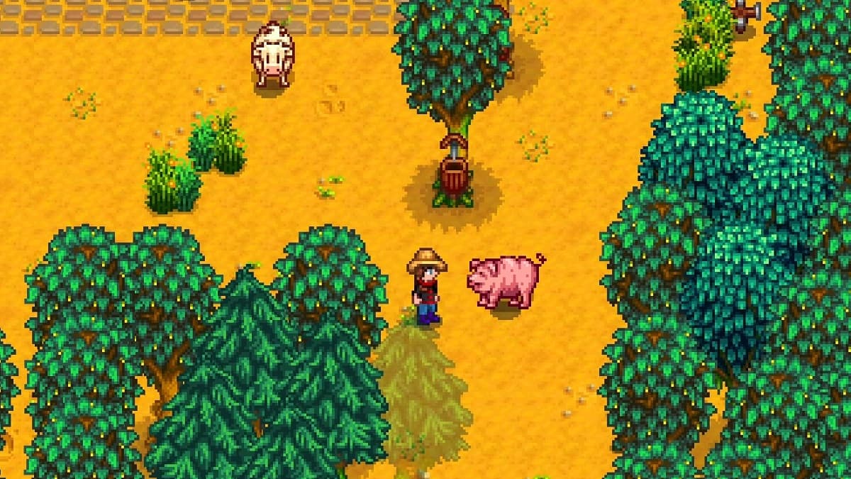 Farmer and pig outside