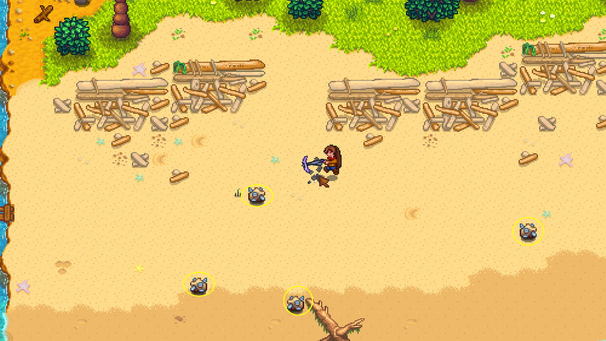 Breaking Oyster nodes on the beach with a pickaxe