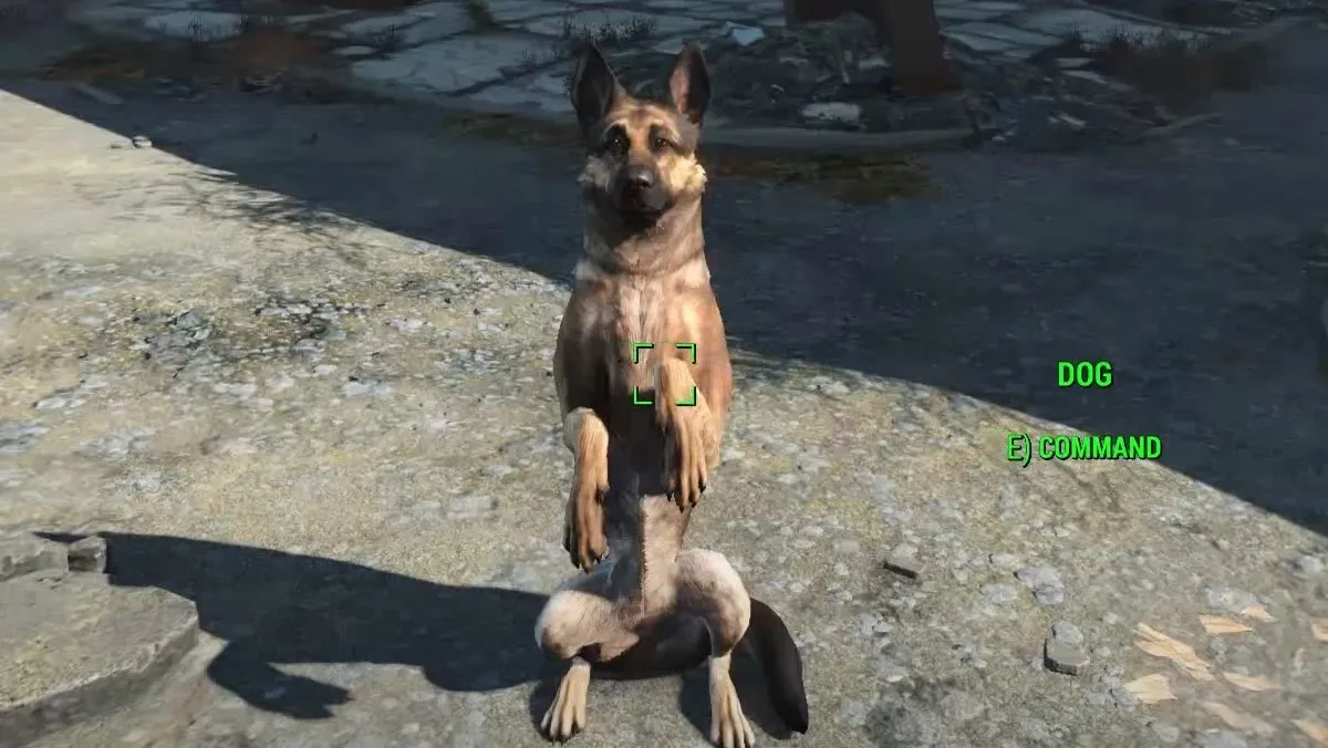Dogmeat sitting up in Fallout 4.