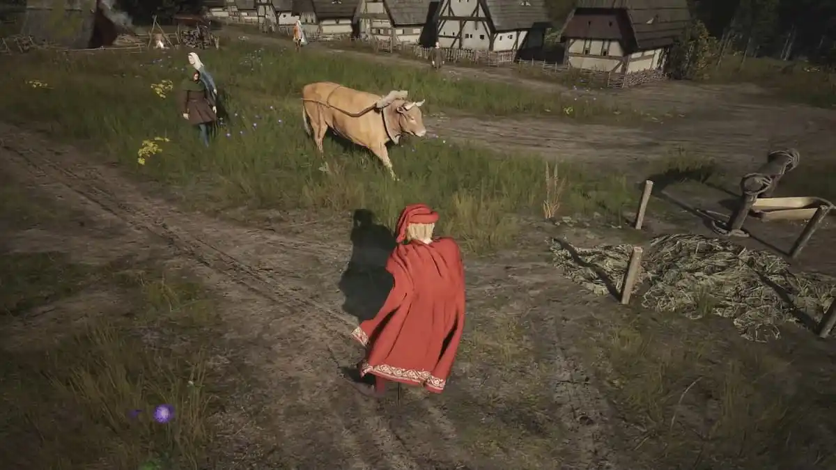 Peasant guiding an ox