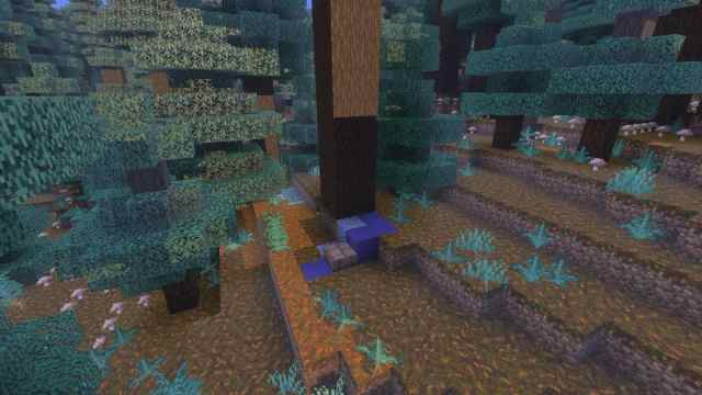 A set of Trail ruins beneath a Spruce Tree in Minecraft's Old Growth Taiga biome
