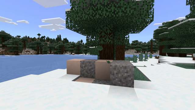 A set of Trail Ruins in a Minecraft Snowy Taiga biome