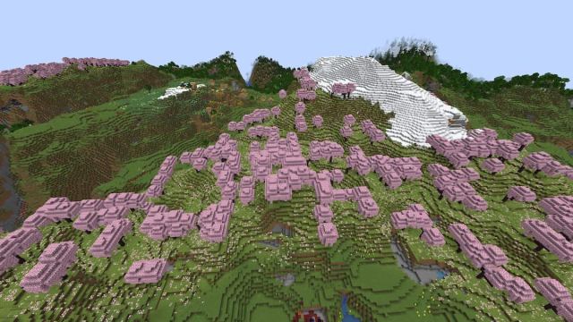 A large Cherry Grove biome next to a snowy biome and a Plains Village in Minecraft
