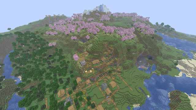 A large Cherry Grove between two Minecraft Plains Villages with Blacksmiths