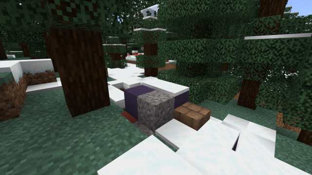 A set of Trail Ruins in a Snowy Taiga in Minecraft