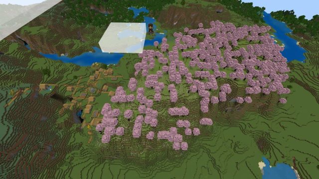 A Cherry Grove hill in Minecraft next to a Plains Village and a Pillager Outpost