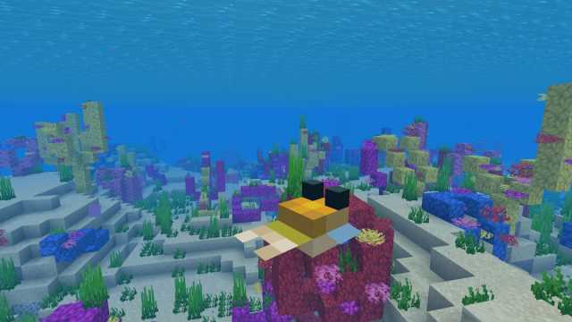 Finding a Minecraft pufferfish swimming around a coral reef