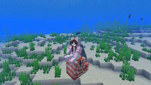 A Minecraft player riding a Nautilus