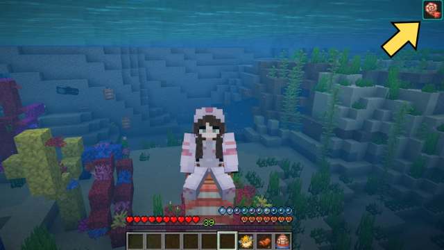 The Breath of the Nautilus effect symbol in Minecraft
