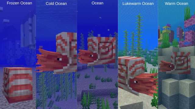All of the locations that a Nautilus can spawn within in Minecraft