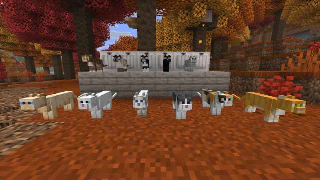 Every coloration of pet cat in Minecraft