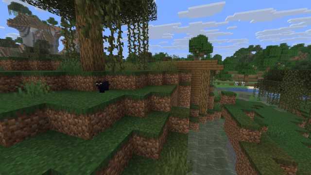 Finding a black cat near a Witch Hut in Minecraft