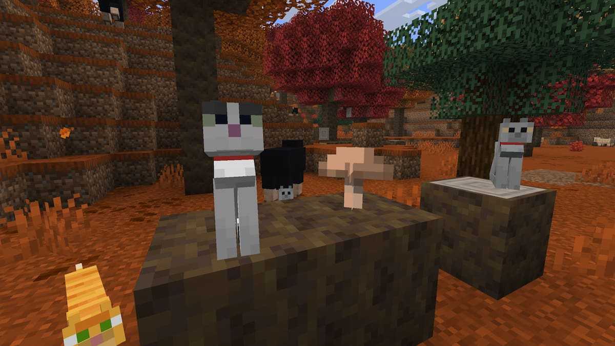 Three cats and one kitten in a Minecraft Dappled Forest biome