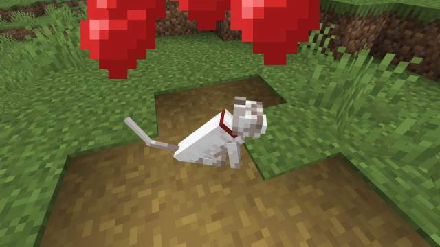 Taming a white cat in Minecraft