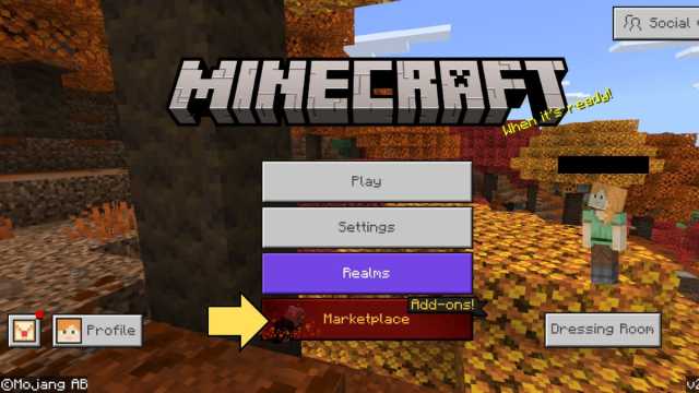 The location of the Bedrock Marketplace in Minecraft
