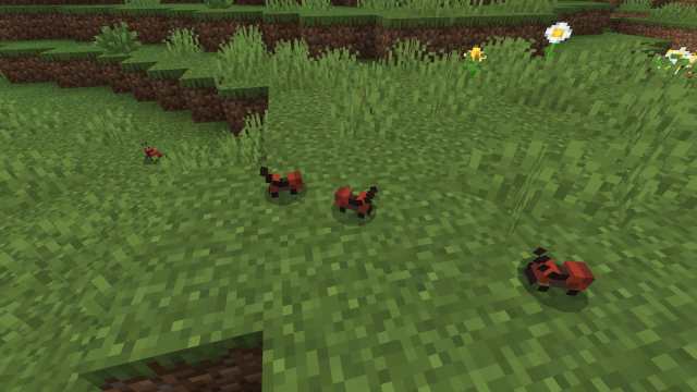 A group of ants added into Minecraft using the Nature's Smallfolk mod