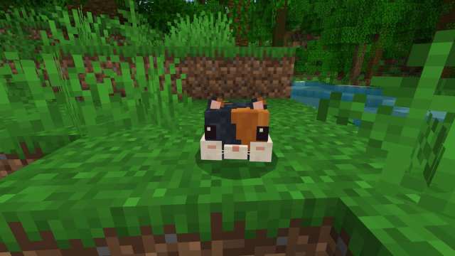 A Minecraft Hamster added in the Paws and Claws mod