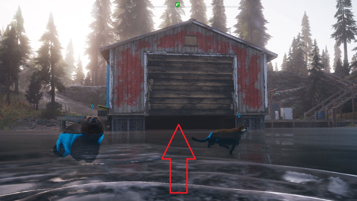 a red arrow pointing upward toward the bottom of a boathouse, with a bear and a cougar in the water nearby