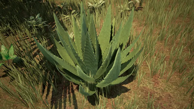 conan exiles aloe extract