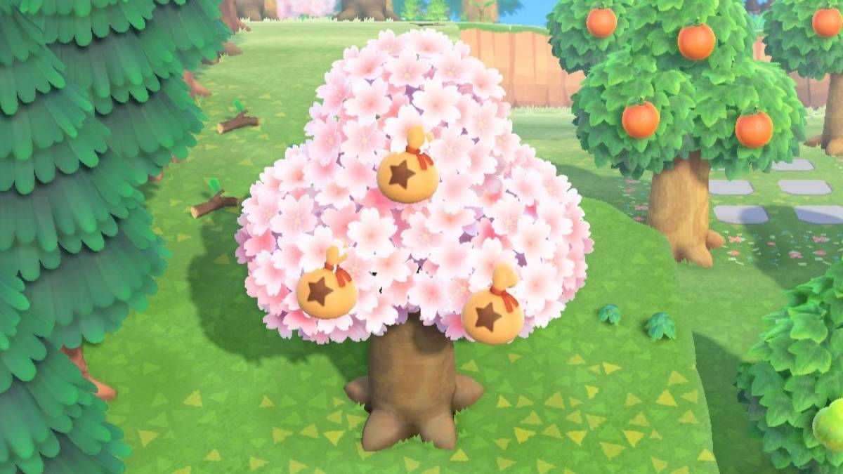 Animal Crossing New Horizons — How to Grow a Money Tree GameSkinny
