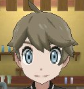 the ash brown hair color option in Pokemon Ultra Sun/Moon