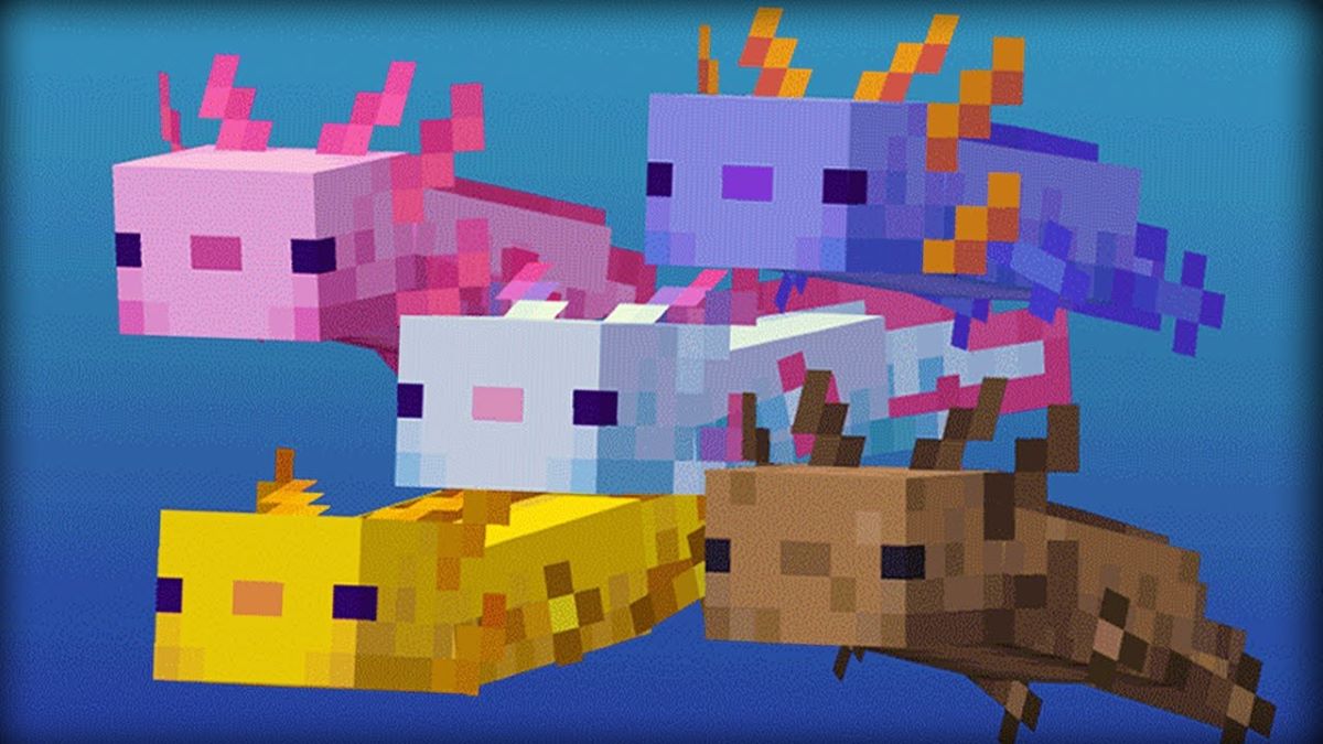 Minecraft How To Get The Rare Blue Axolotl Gameskinny