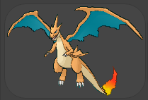 Pokemon Charizard Y