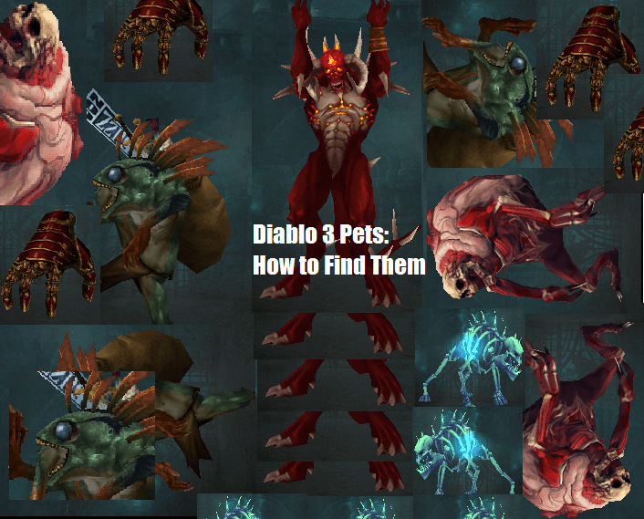The Complete List of Diablo 3 Pets and Their Locations GameSkinny