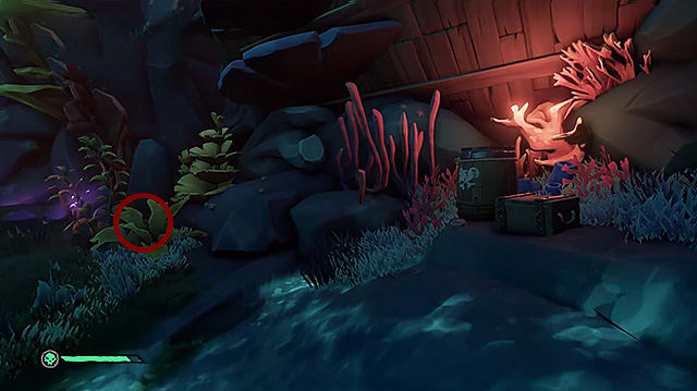 A journal hidden in grass and coral to the left of a wooden barrel and chest.