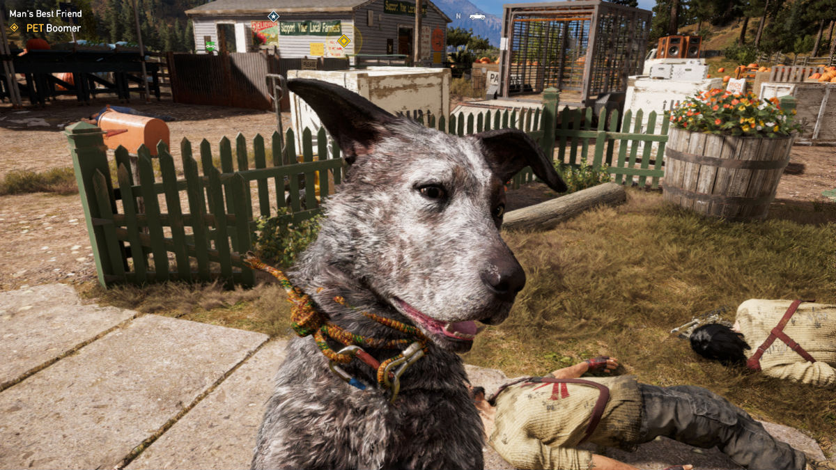 Close-up of Boomer the dog in Far Cry 5