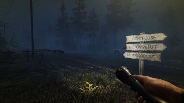 Player character standing in a grass by a road and signpost at night, holding a flashlight.