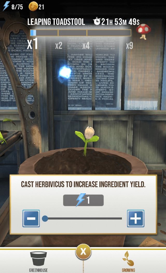 Growing a plant in a greenhouse. 