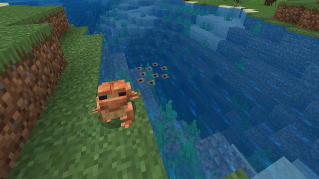 Minecraft Frogs: How to find and breed Frogs in Minecraft 1.19