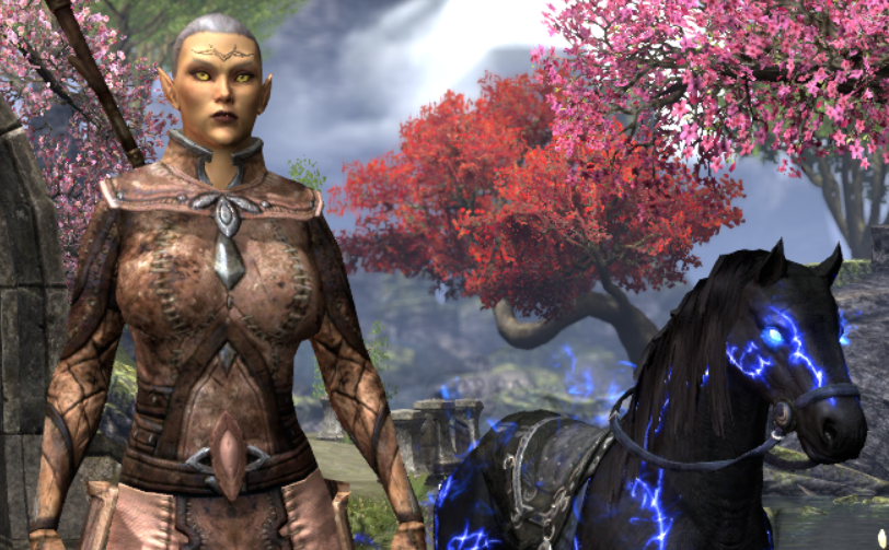 The Elder Scrolls Online Elsweyr SemiHybrid Necromancer PvE Build