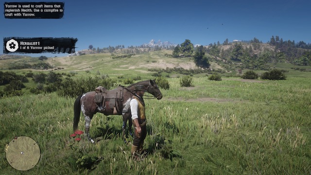 Arthur Morgan stands next to his horse in a field after picking a Yorrow plant