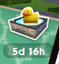 A rubber ducky indicating ducky bucks