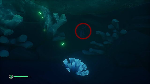 A lever hidden under dark water near several pieces of coral.