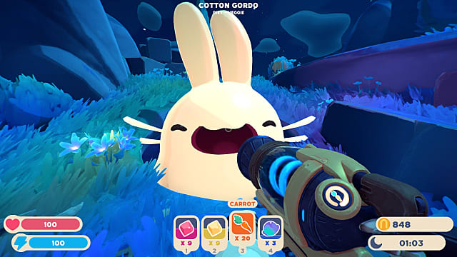 Rainbow fields probably all resources : r/slimerancher