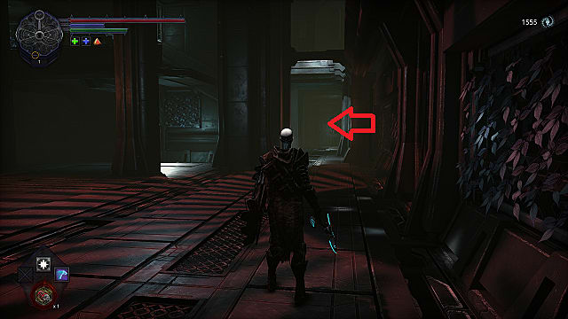 The player character stands next to a wall covered in vines as they look toward a fork at the end of a hallway.