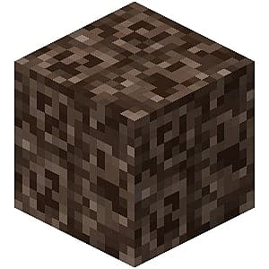 A Soul Sand block, which can be found in the Nether.