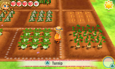 Raising Winning Crops and Animals Guide - Story of Seasons: Trio of Towns Harvest Festival