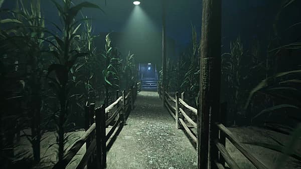 First-person view walking along path through cornfield at night.