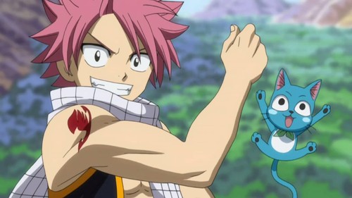 Fairy Tail: Hero's Journey