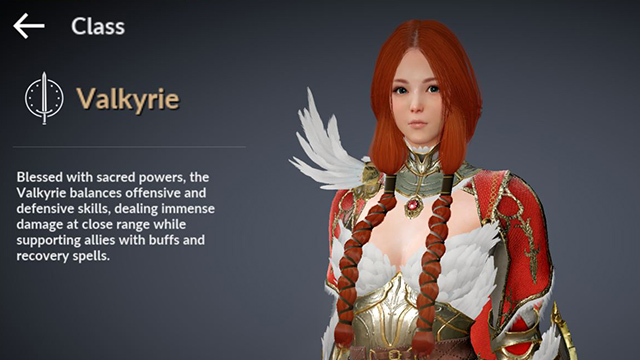 Black Desert Online Classes Tier List, Best Classes Ranked - News